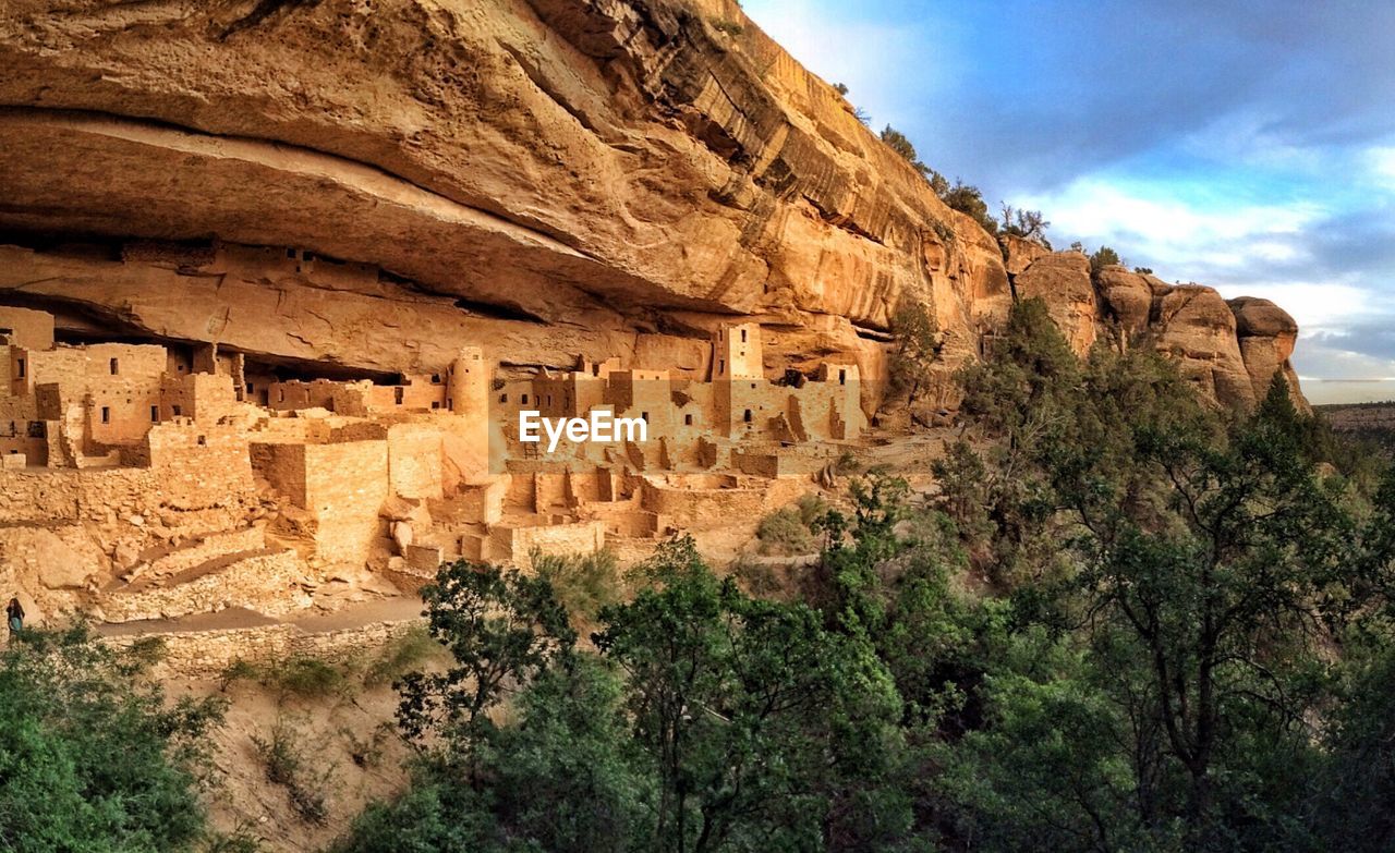 Trees by cliff palace against sky