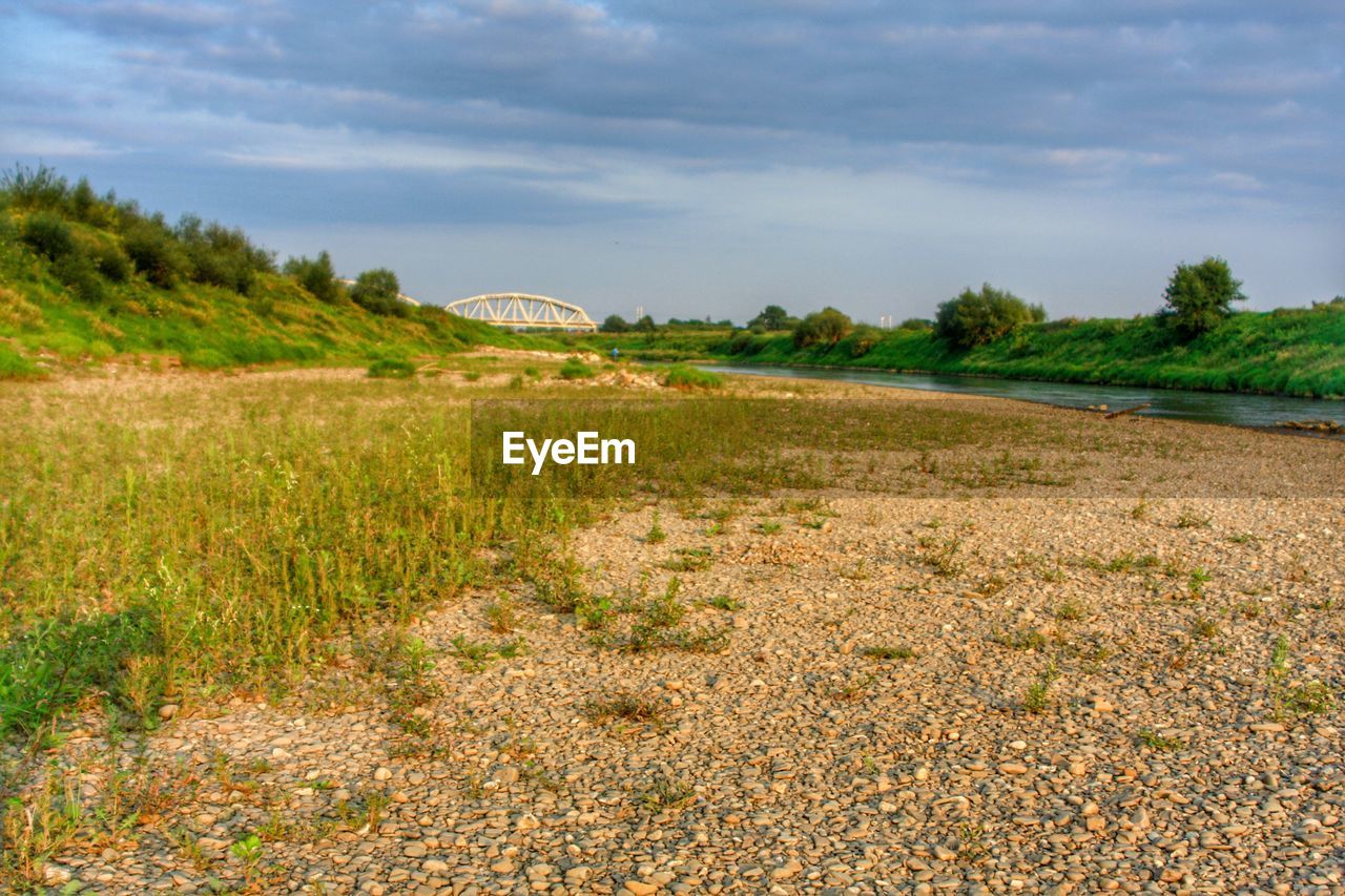 SURFACE LEVEL OF FARM AGAINST SKY