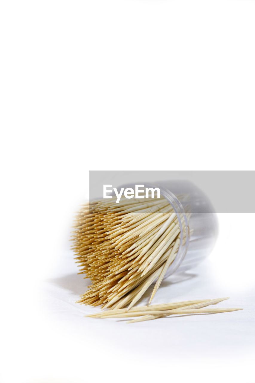 CLOSE-UP OF DRIED PLANT ON WHITE BACKGROUND