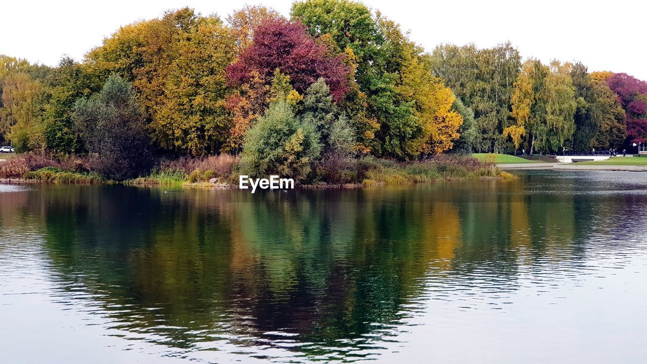 TREES BY LAKE AGAINST SKY DURING AUTUMN