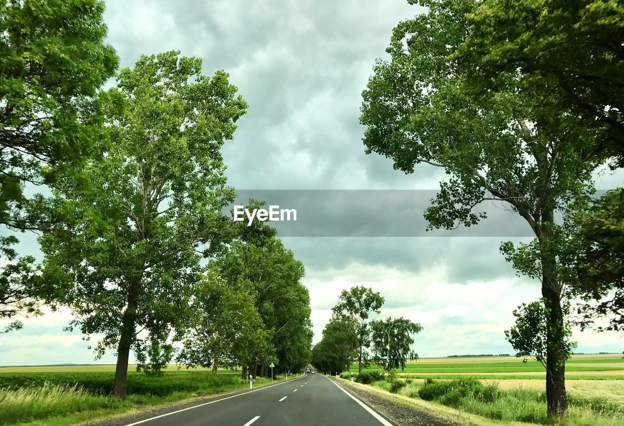 Road amidst trees against sky