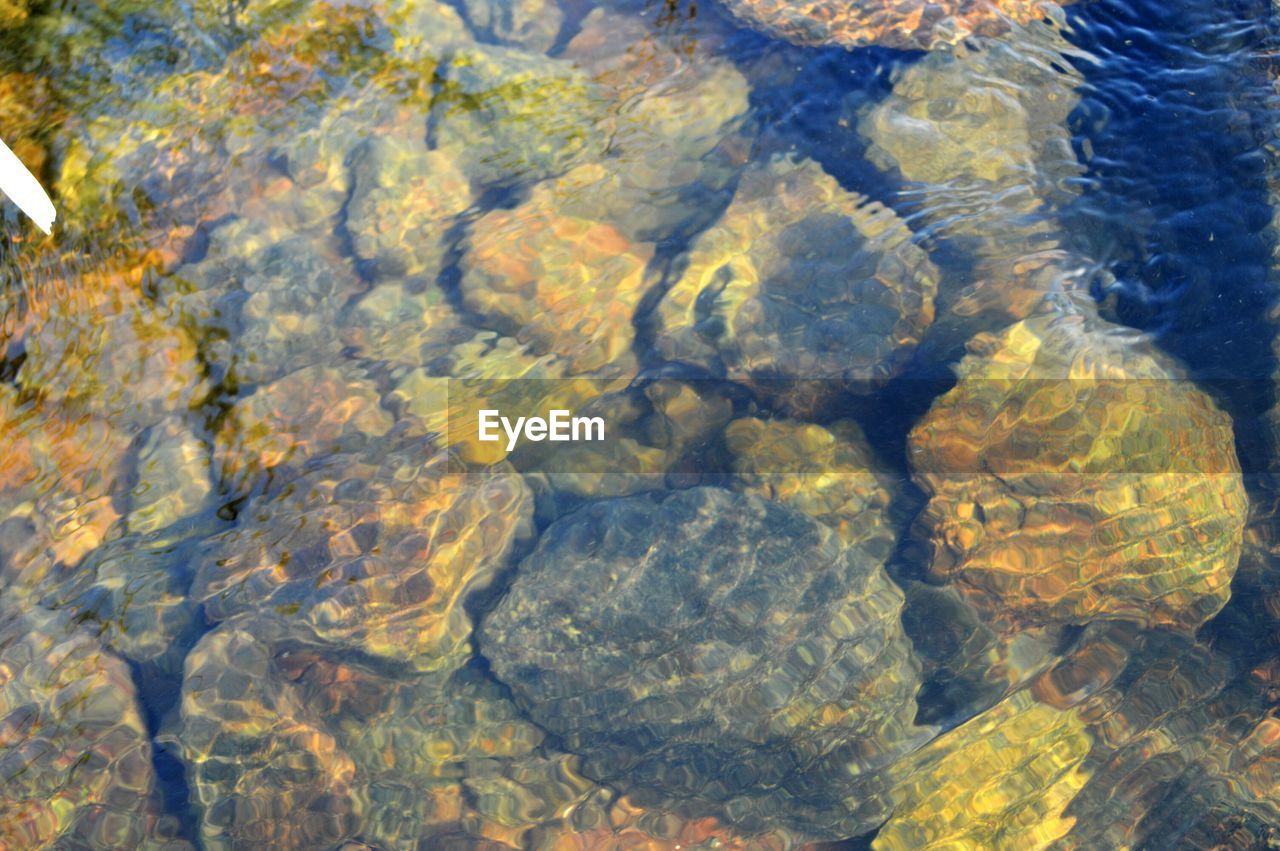 FULL FRAME SHOT OF WATER IN THE LANDSCAPE