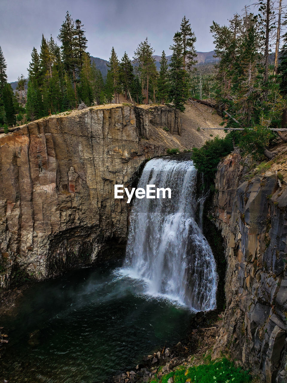 Scenic view of waterfall in forest