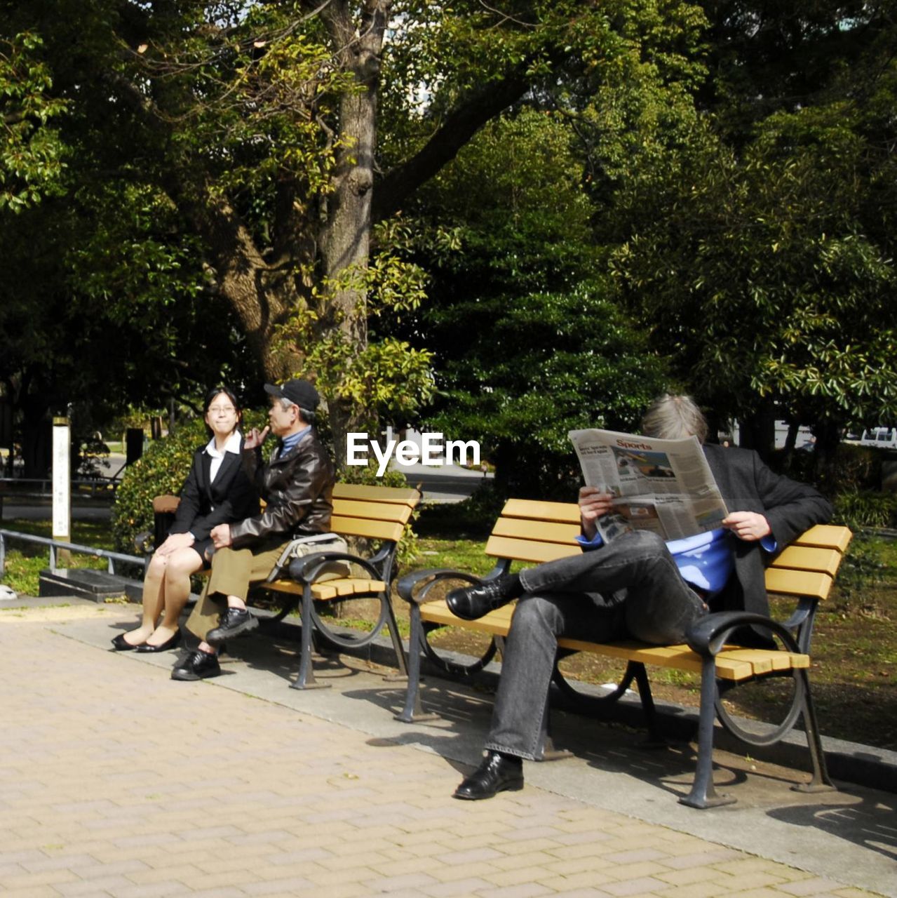People sitting on benches against trees in park