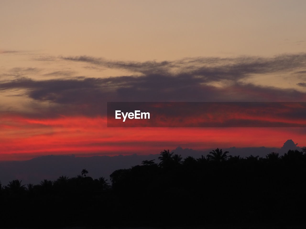 SCENIC VIEW OF DRAMATIC SKY OVER SILHOUETTE TREES