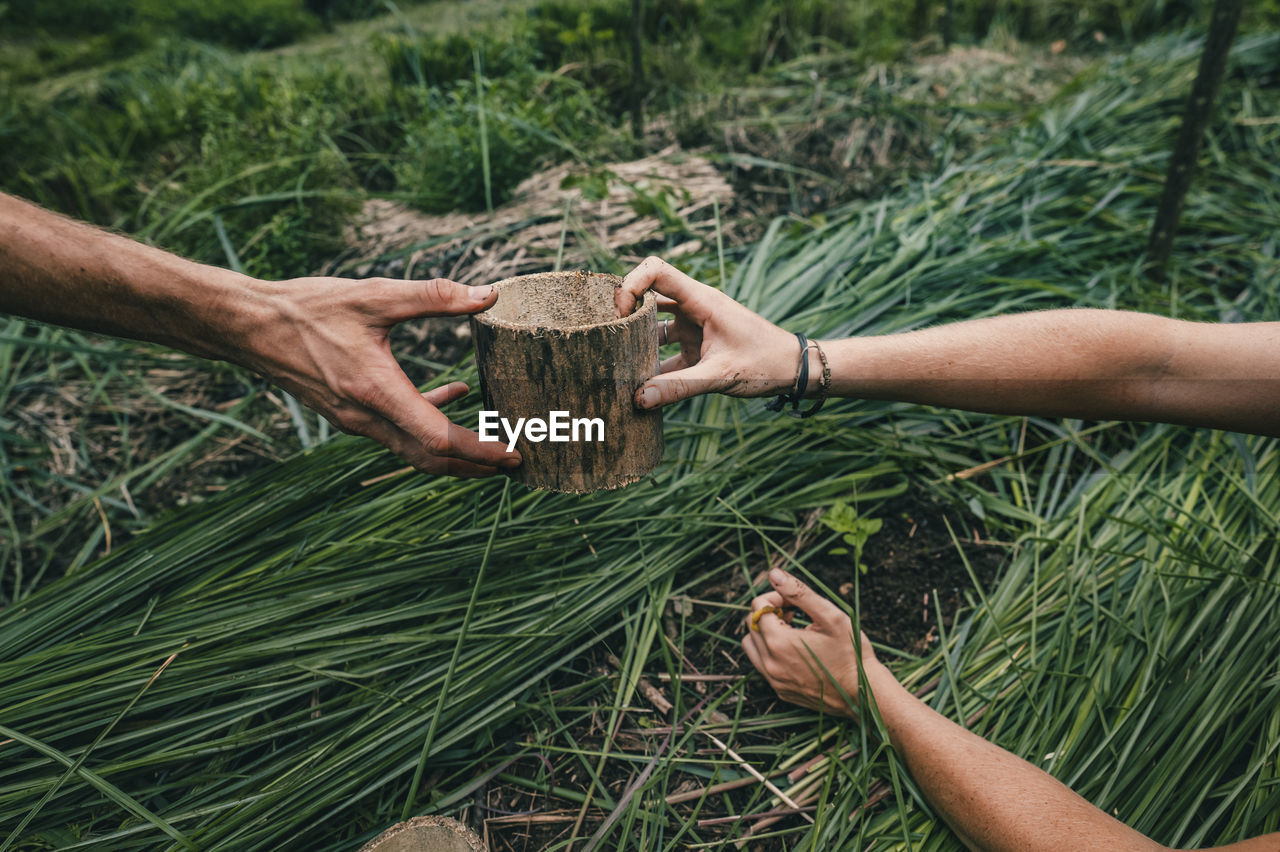 Low angle view of hands planting a plant around grass