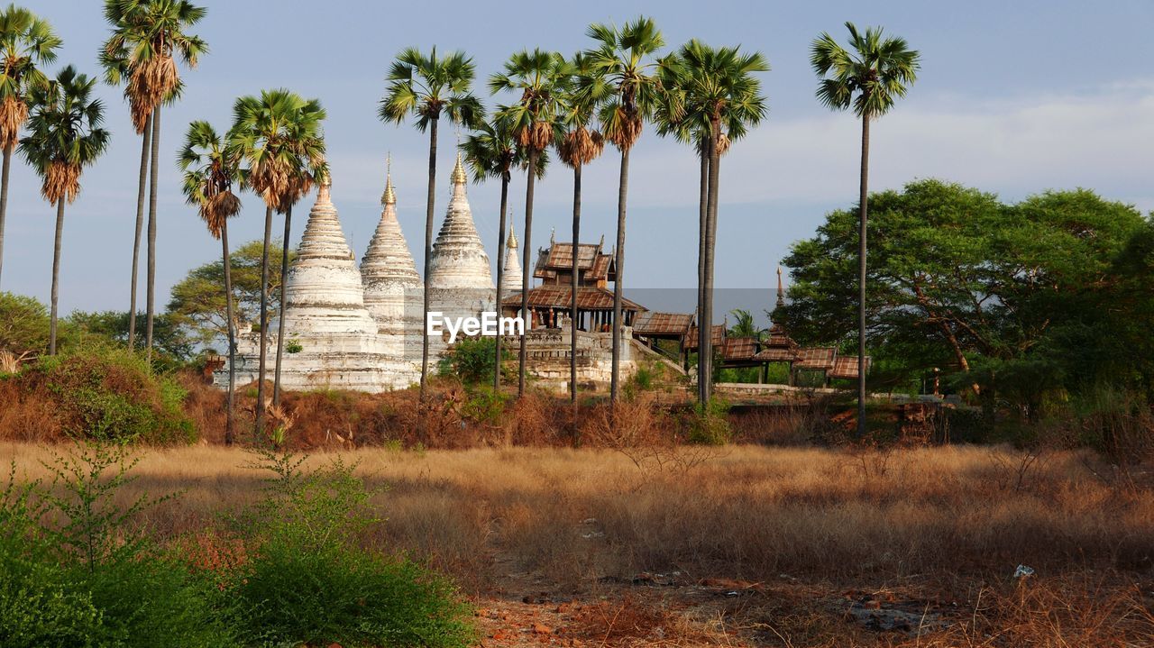 Historic temple by trees