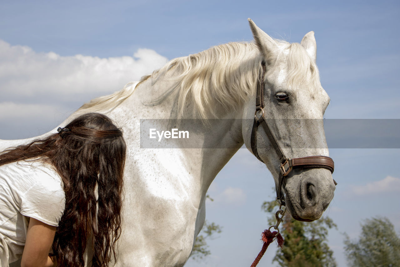 Woman by horse against sky