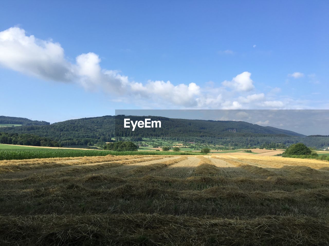 Scenic view of agricultural field by mountain against sky