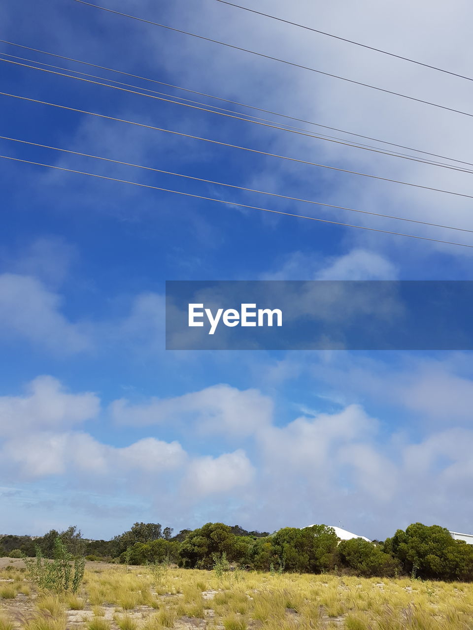 LOW ANGLE VIEW OF BLUE SKY AND CLOUDS IN BACKGROUND