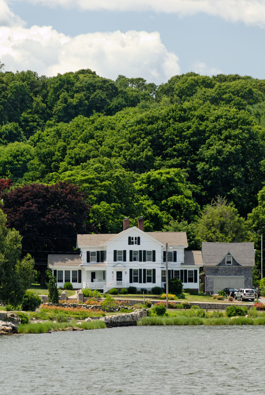 BUILDINGS BY TREES AGAINST SKY