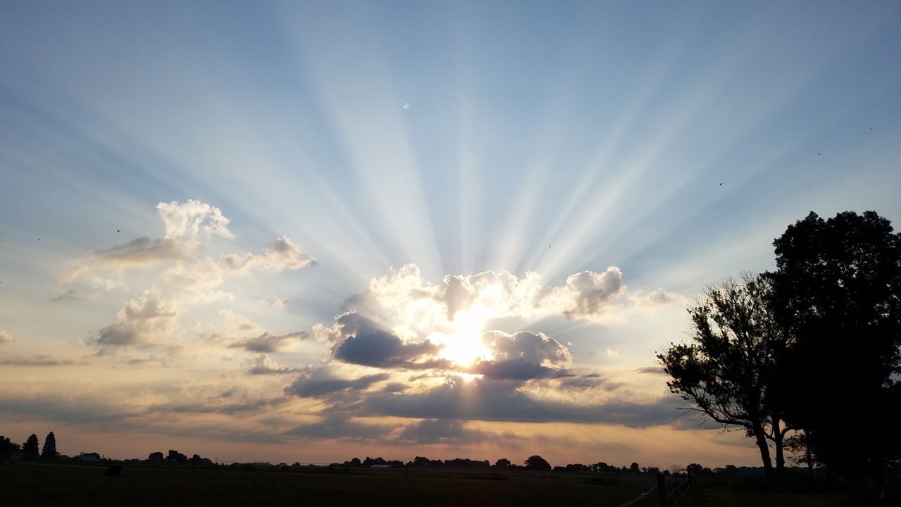 SILHOUETTE TREES AGAINST SKY DURING SUNSET