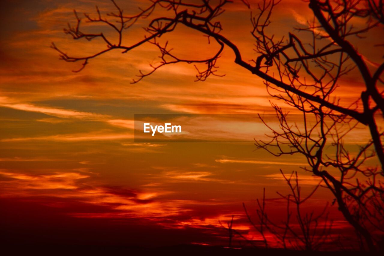 Low angle view of silhouette bare tree against dramatic sky