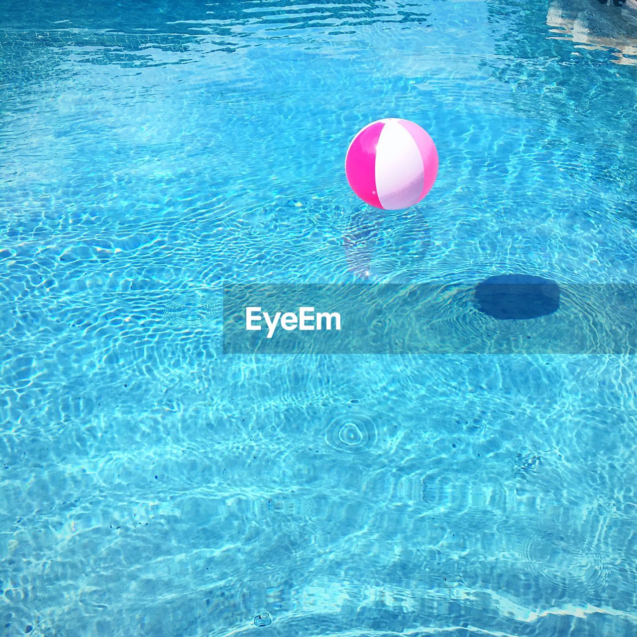 High angle view of pink ball floating on water