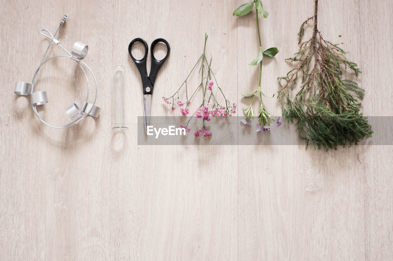 DIRECTLY ABOVE SHOT OF FLOWERING PLANTS ON TABLE