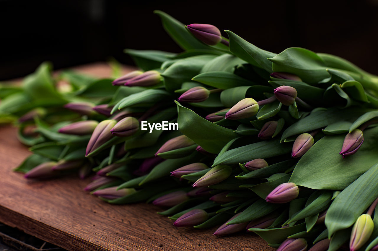 Close-up of fresh pink flowers on table