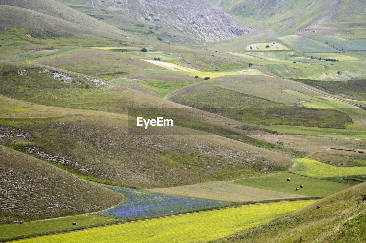 Scenic view of green landscape