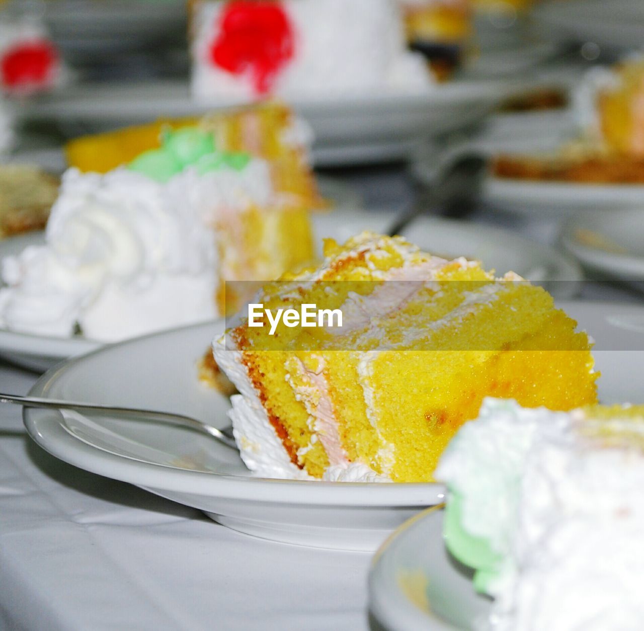 CLOSE-UP OF CAKE SLICE IN PLATE