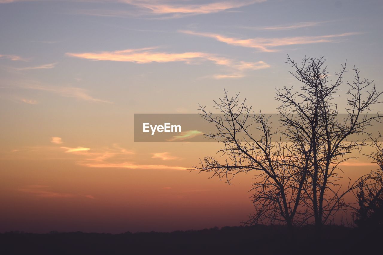 SILHOUETTE TREE AGAINST SKY DURING SUNSET