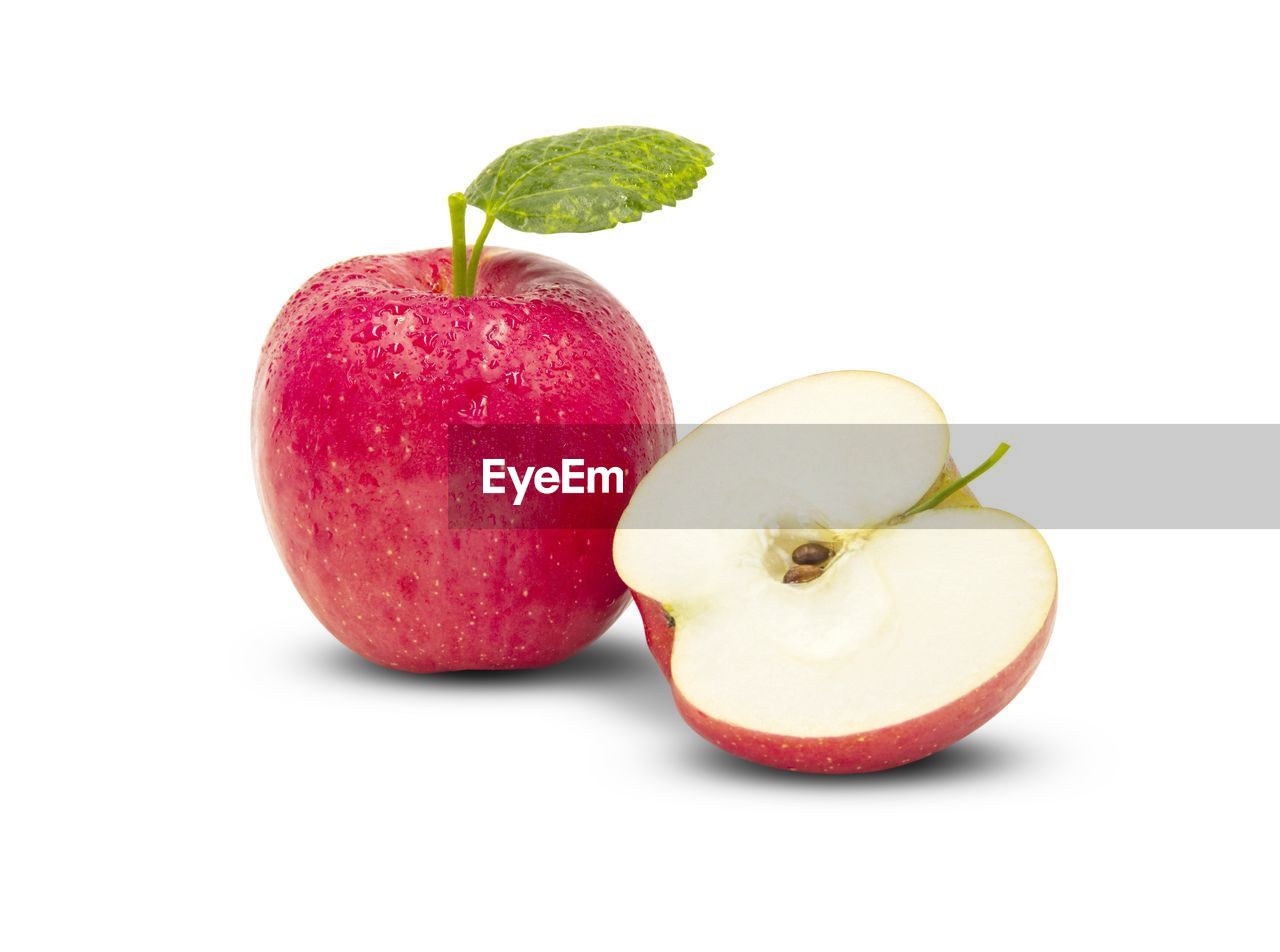 CLOSE-UP OF APPLES IN SPRING