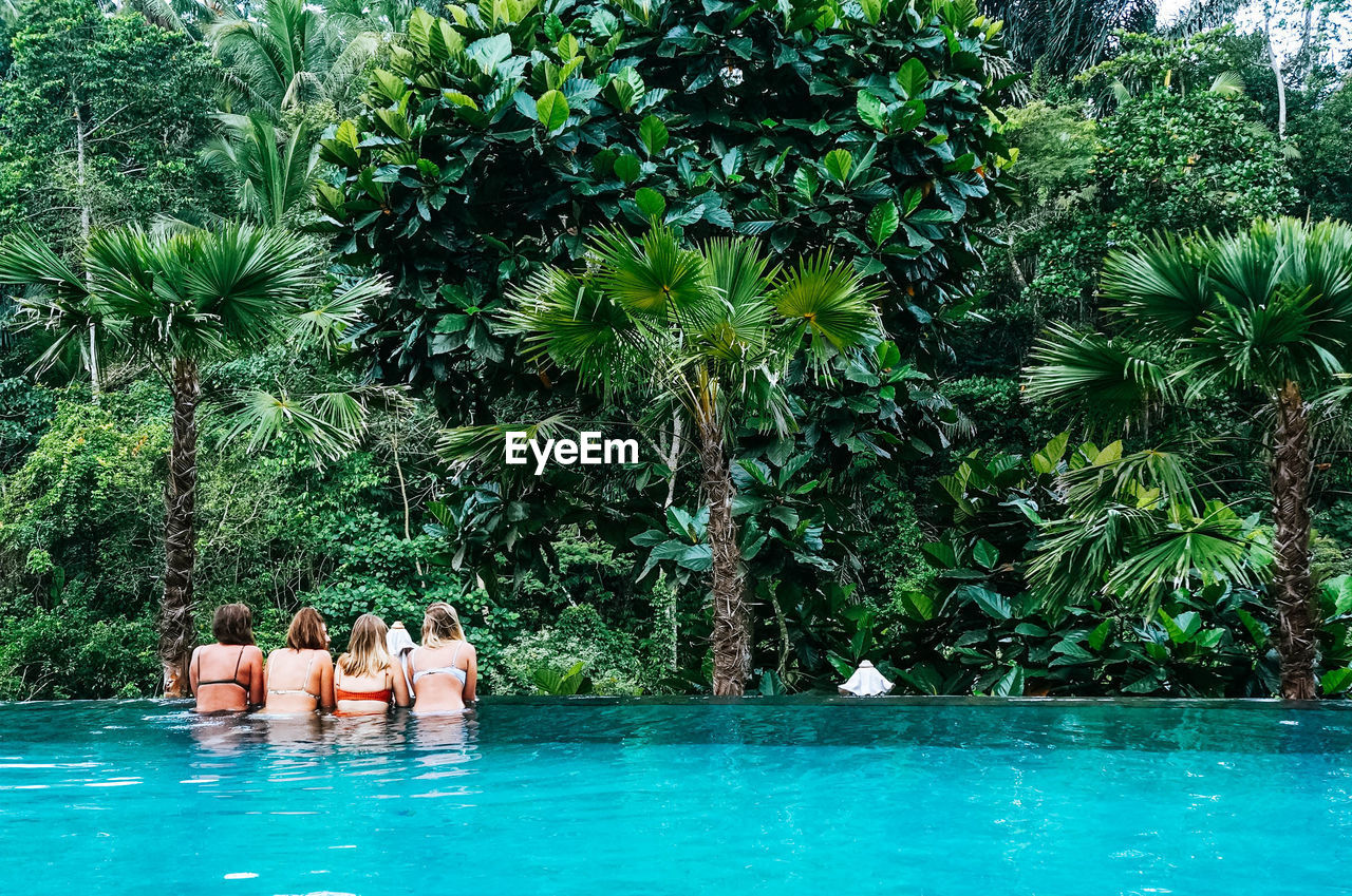 Rear view of women in infinity pool at forest