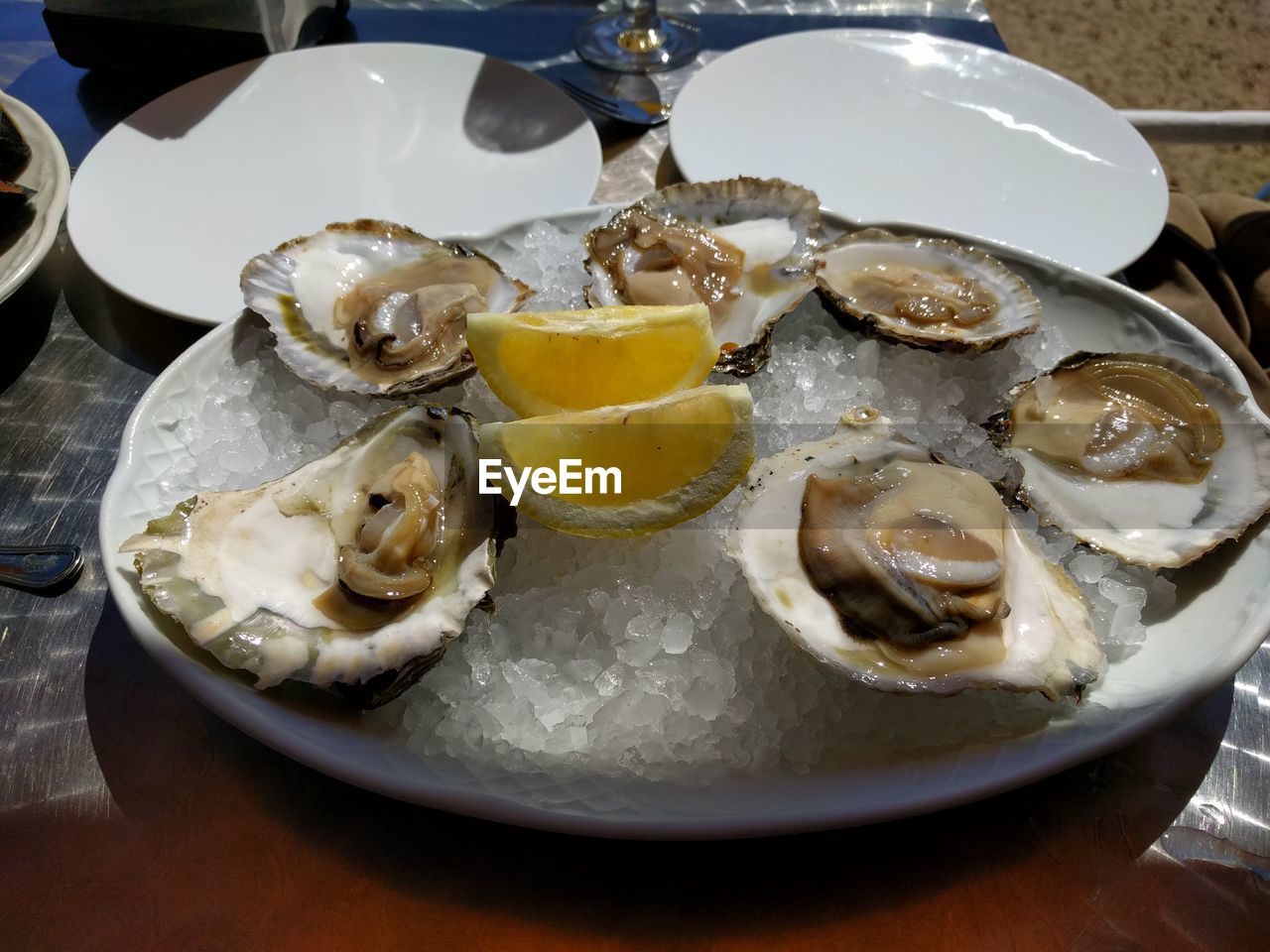 Close-up of served oysters 