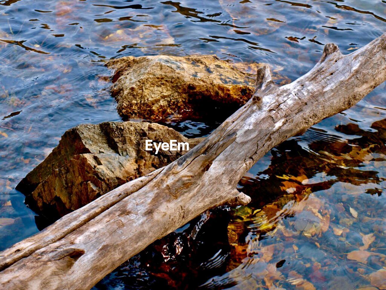 HIGH ANGLE VIEW OF DRIFTWOOD ON LAKE