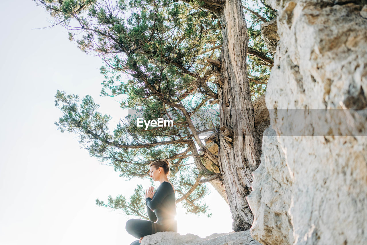 rear view of woman sitting on tree