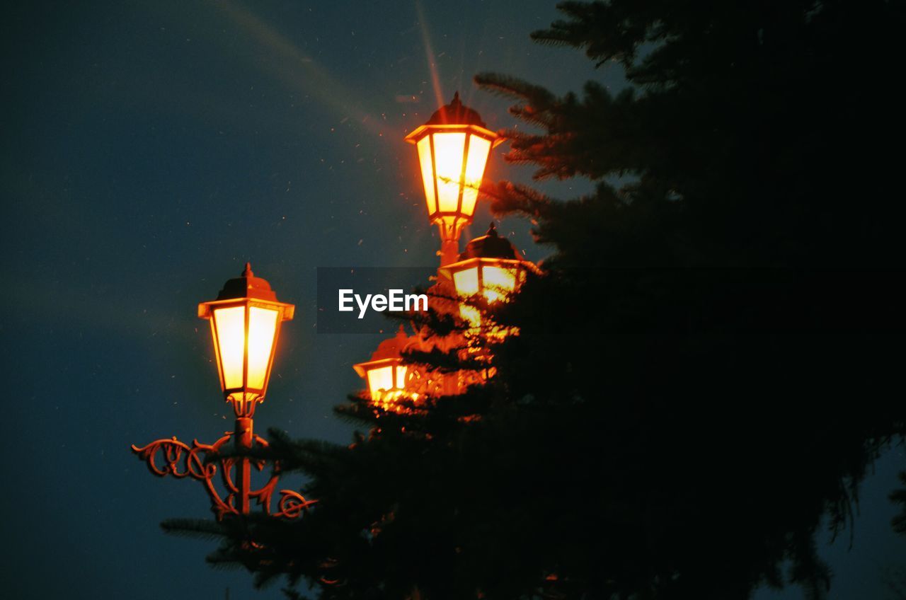 Low angle view of silhouette tree by illuminated street light against sky at night