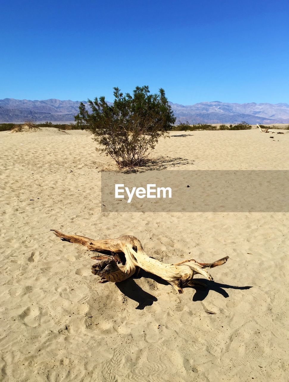 High angle view of wooden log lying down on sand against clear sky