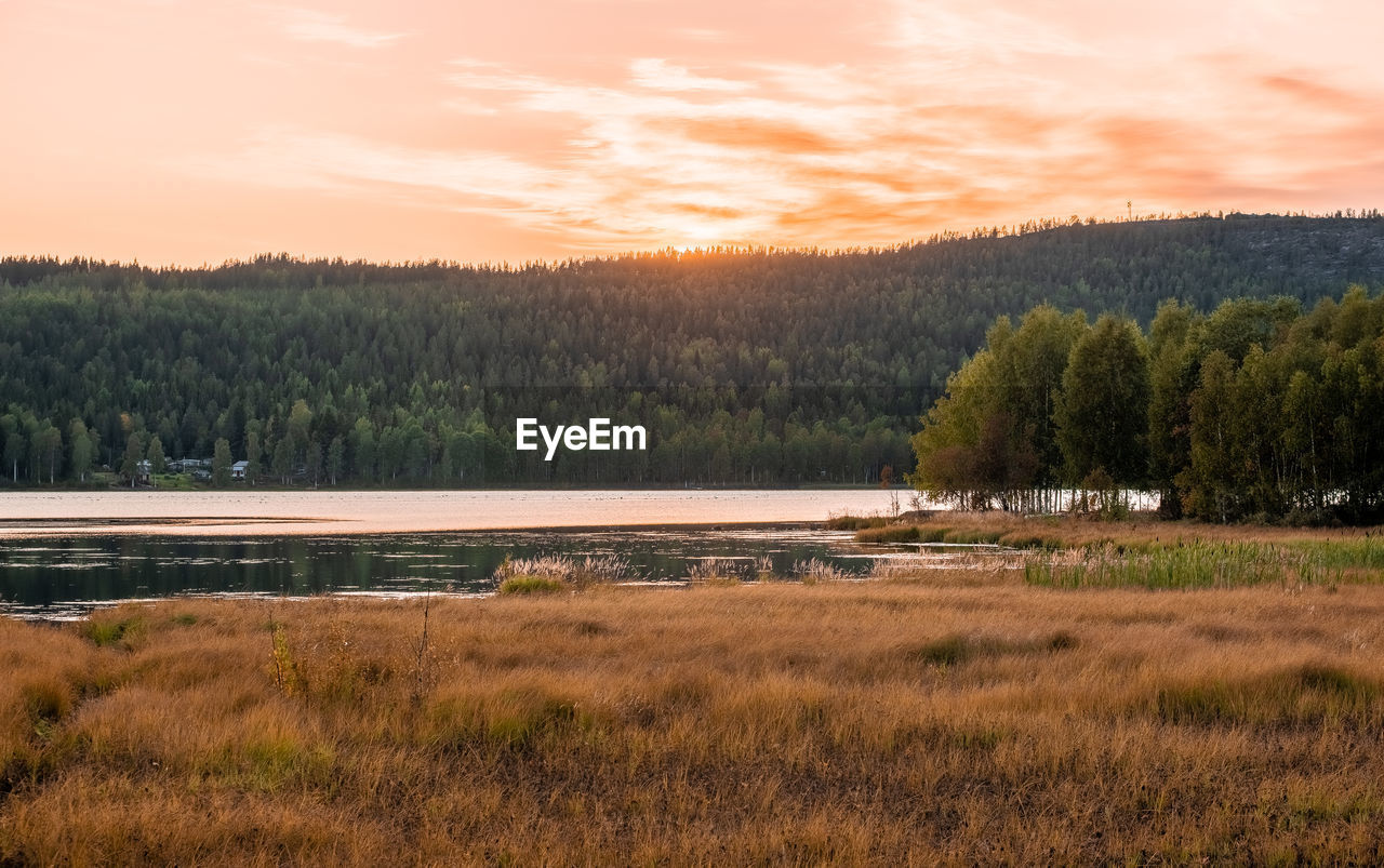 Scenic view of field against sky during sunset