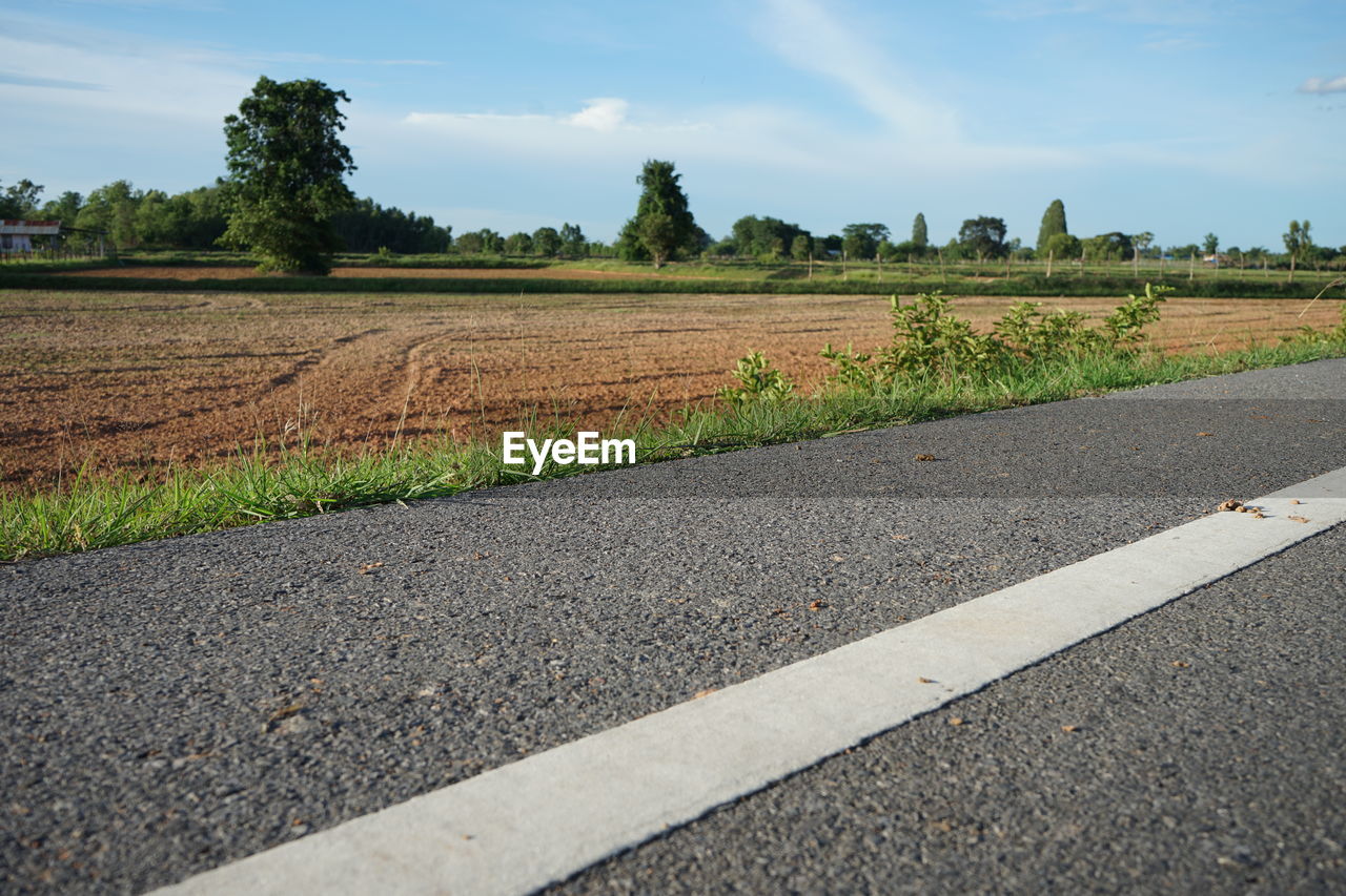 road, sky, landscape, soil, asphalt, plant, environment, grass, nature, rural scene, transportation, cloud, agriculture, no people, field, land, rural area, horizon, tree, road surface, day, scenics - nature, city, outdoors, highway, street, crop, growth, farm, beauty in nature, tranquility, infrastructure, symbol, food and drink