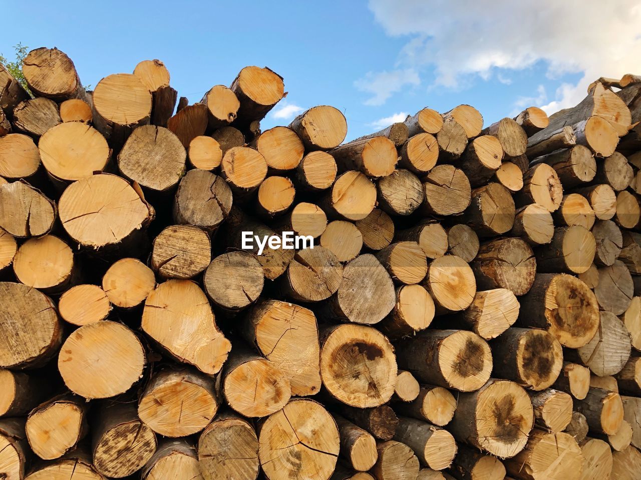 Close-up of stack of logs