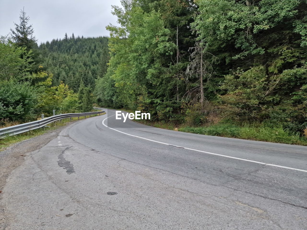 road, tree, plant, transportation, road surface, asphalt, lane, infrastructure, forest, nature, no people, highway, the way forward, land, green, beauty in nature, non-urban scene, day, curve, sign, scenics - nature, sky, symbol, empty road, tranquility, mountain pass, landscape, road marking, pine woodland, tranquil scene, coniferous tree, tarmac, environment, marking, trail, outdoors, pinaceae, growth, remote, pine tree, travel, country road, winding road, cloud, street, mountain