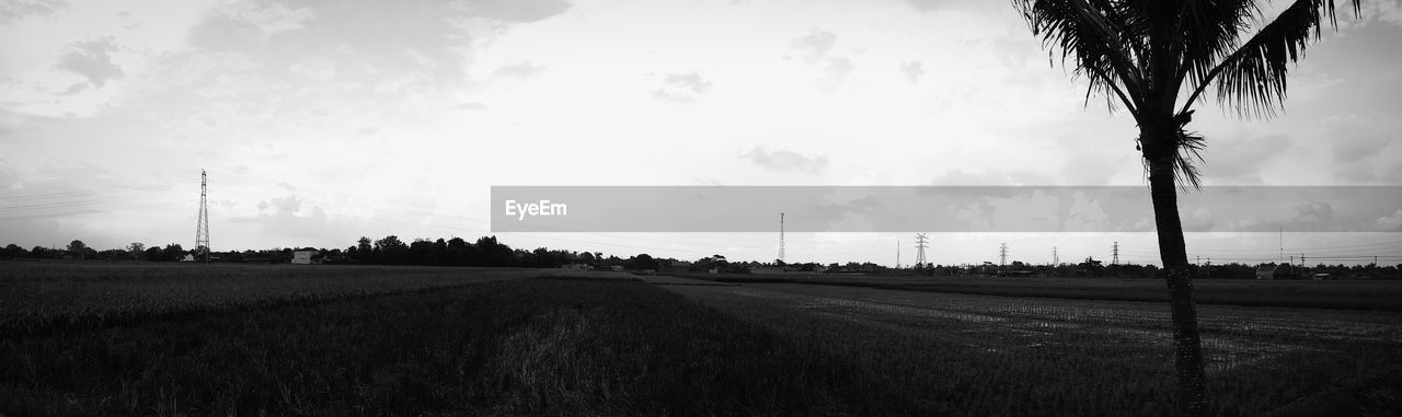 TREES ON FIELD AGAINST CLOUDY SKY