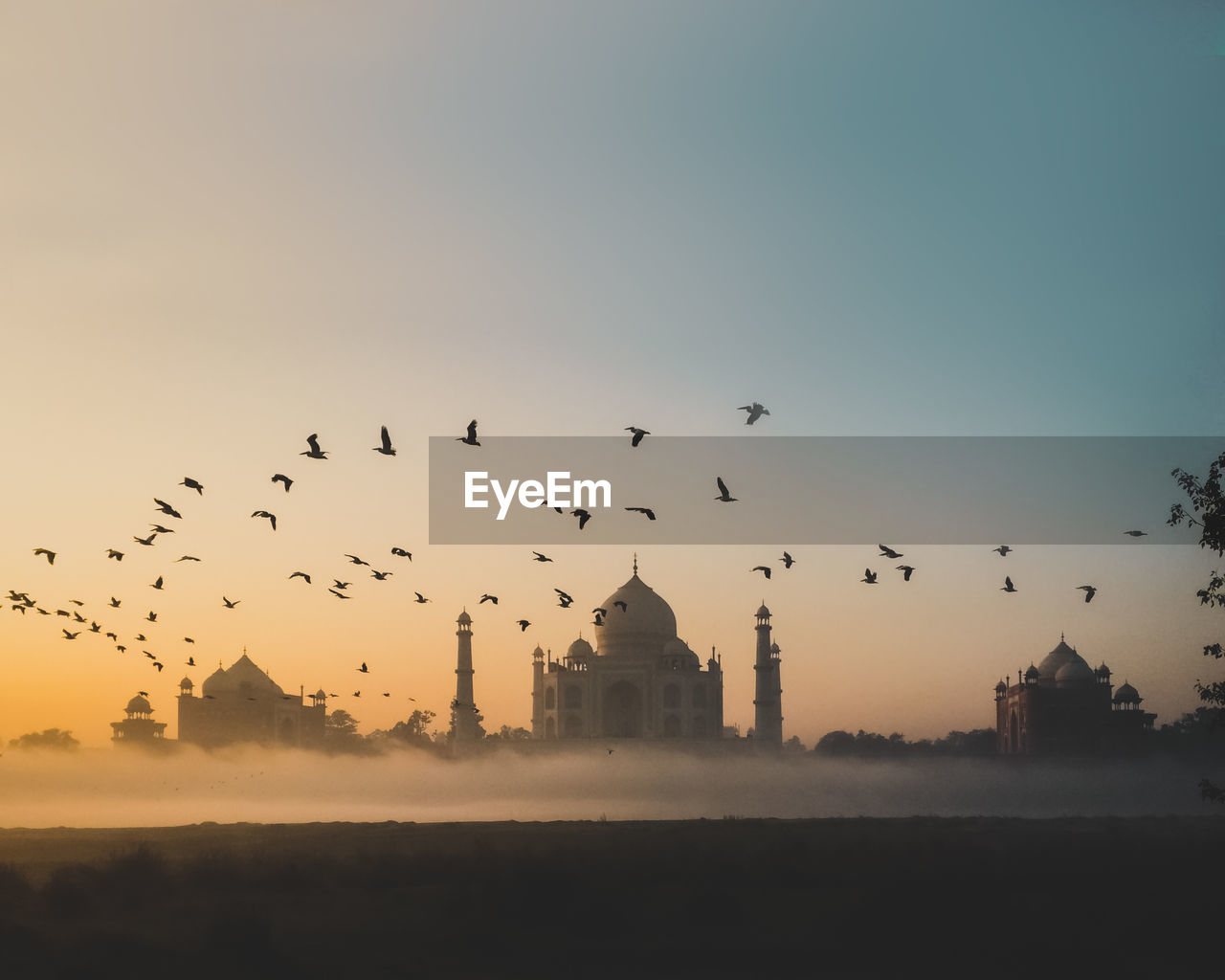 Flock of birds flying over taj mahal during sunset