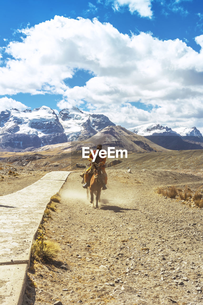 Rear view of man riding horse on mountain