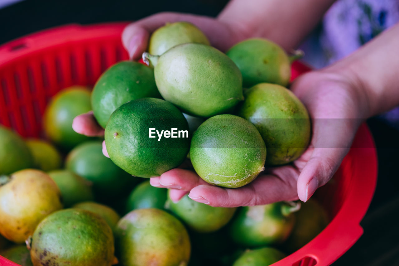 Close-up of hand holding lime