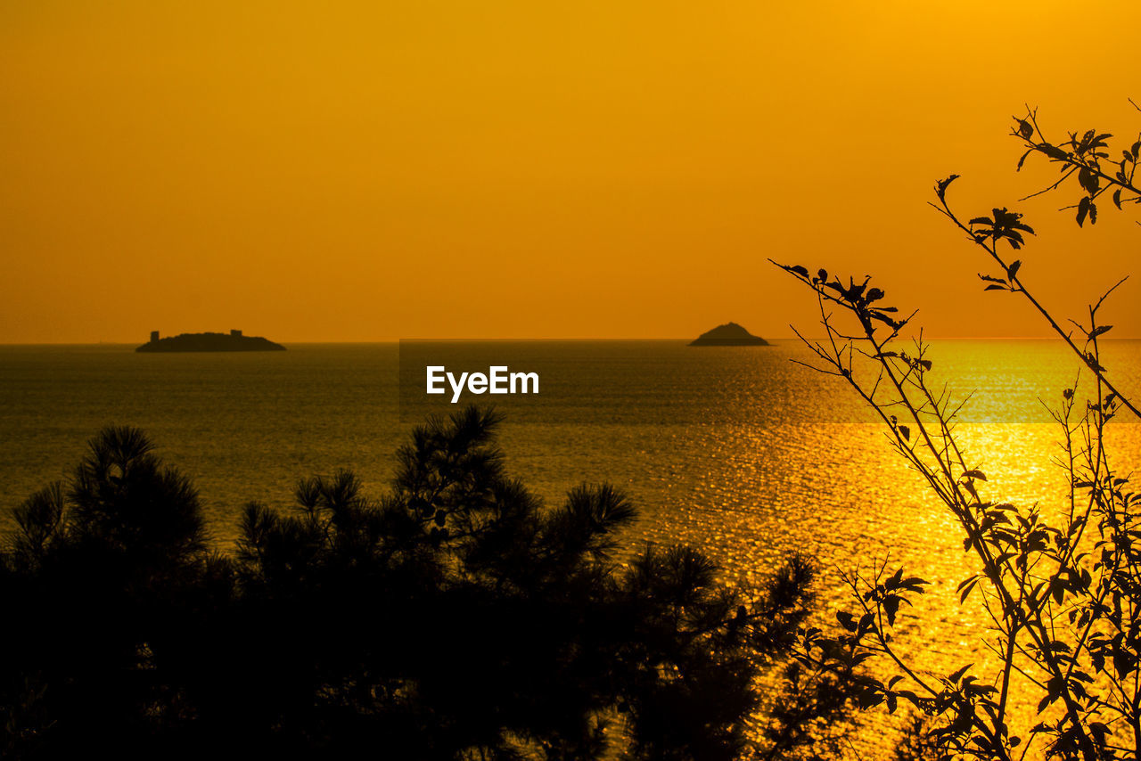 Silhouette trees against clear orange sky