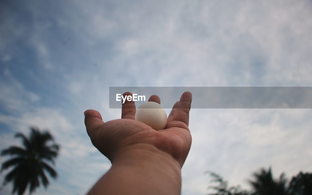 Cropped hand of person holding egg against cloudy sky