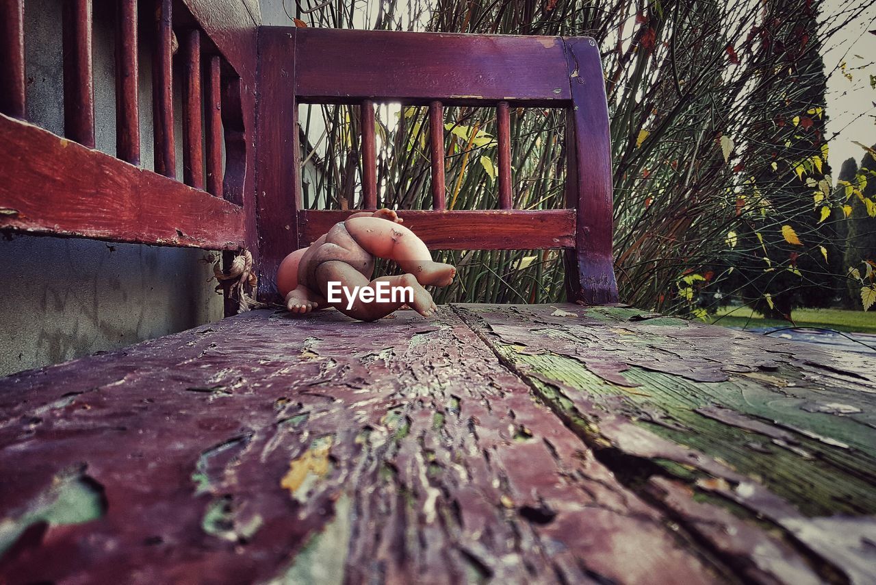 Abandoned toy on damaged bench