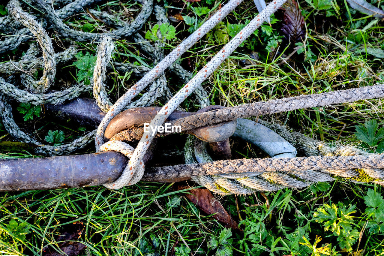 CLOSE-UP OF RUSTY ROPE