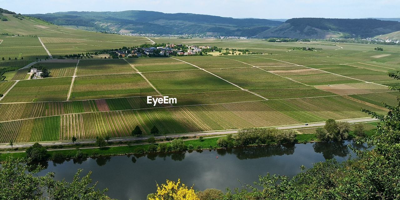 SCENIC VIEW OF AGRICULTURAL FIELD