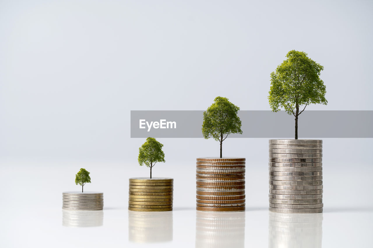 finance, business, savings, investment, currency, growth, wealth, coin, tree, money, finance and economy, nature, banking, graph, plant, business finance and industry, corporate business, studio shot, copy space, diagram, no people, economy, indoors, large group of objects, home finances, development, planning, success