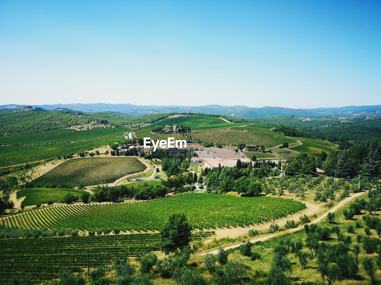 PANORAMIC VIEW OF AGRICULTURAL FIELD AGAINST CLEAR SKY