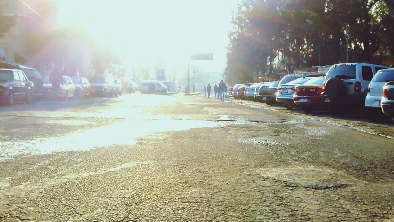 Cars parked on street at city