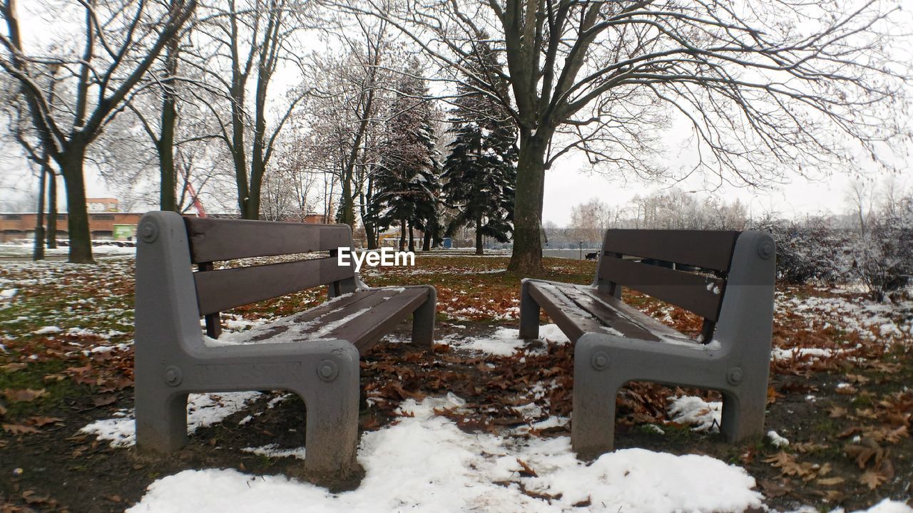 BENCH BY TREES AGAINST SKY