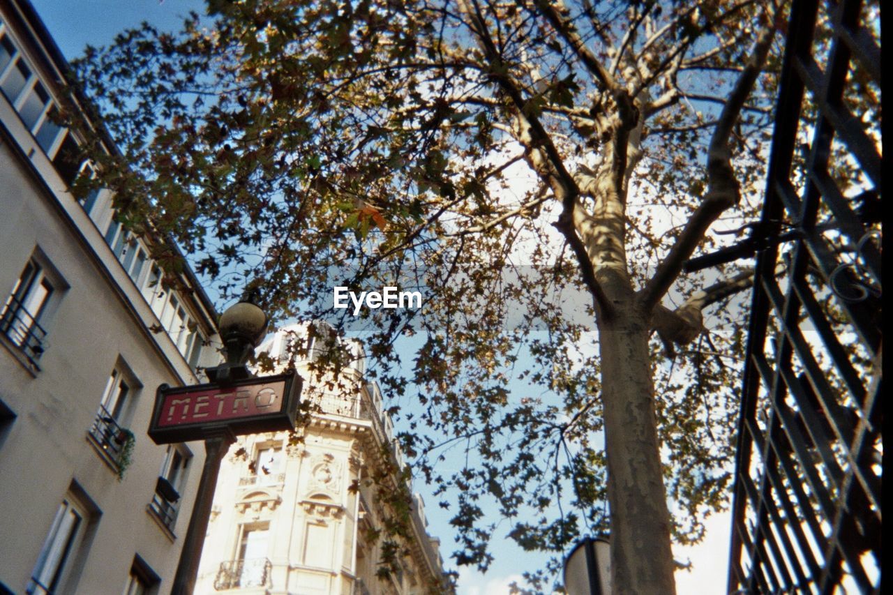 LOW ANGLE VIEW OF TREES IN FRONT OF CITY