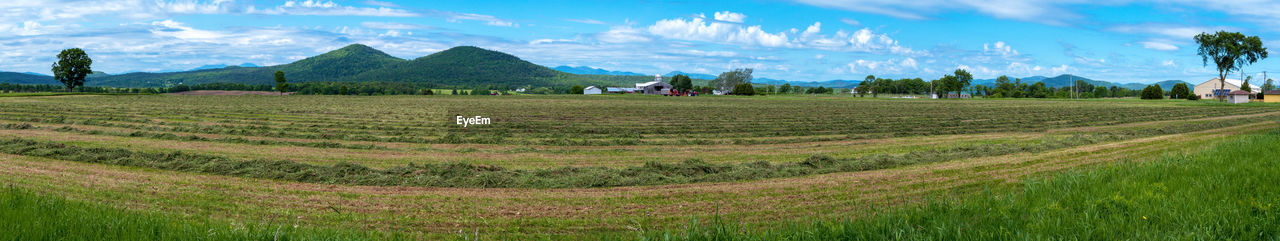 Panoramic view of agricultural field against sky