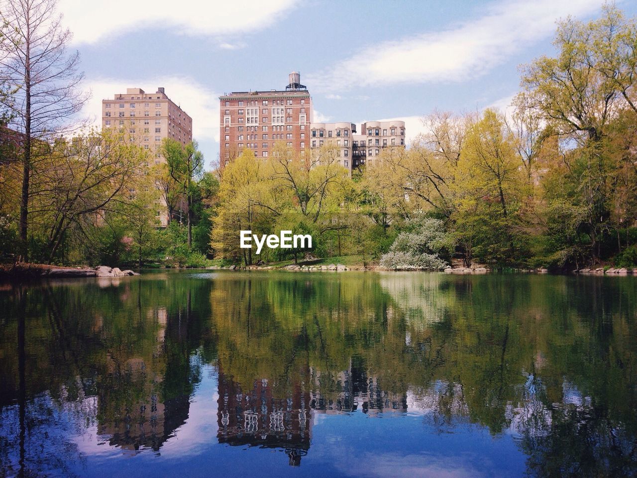 Lake in a city park